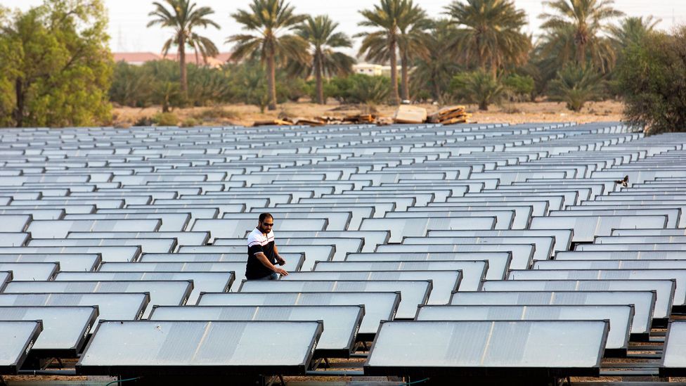 A man stands amid a field of hydropanels in UAE (Credit: Getty Images)