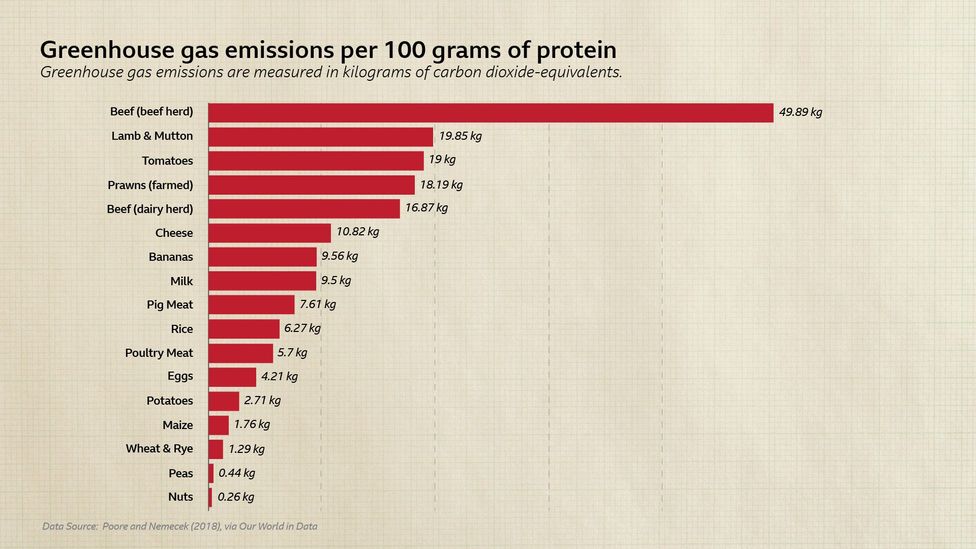 Meat-heavy diets pose a particular challenge to stemming pollution (Credit: Poore and Nemecek, 2018)