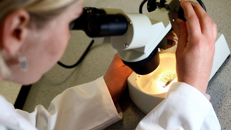Pensa-se que à medida que envelhecemos, as nossas células podem “esquecer” como se comportar corretamente – aumentando o risco de cancro (Crédito: Alamy)
