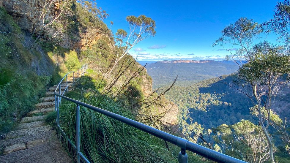 The Overcliff/Undercliff track takes hikers into the Greater Blue Mountains World Heritage Area (Credit: Caro Ryan)