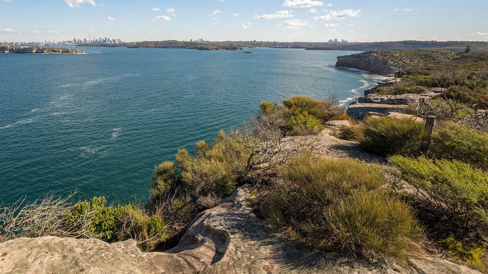 The 10km Manly Scenic Walkway has epic views back onto the city (Credit: John Spencer/DPE)