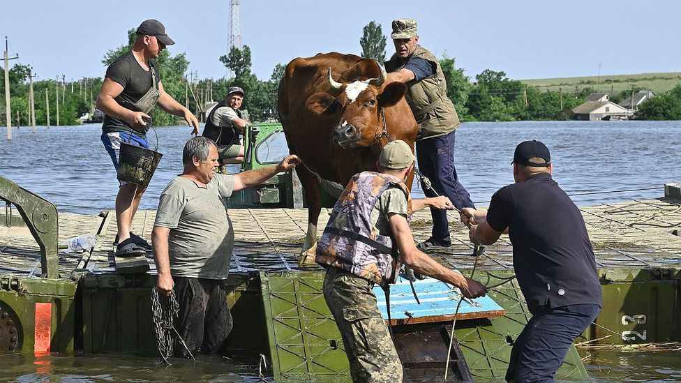 An estimated 18 cubic km (4.3 cubic miles) of reservoir water burst through the destroyed Kakhovka dam in Ukraine, causing widespread floods (Credit: Getty Images)