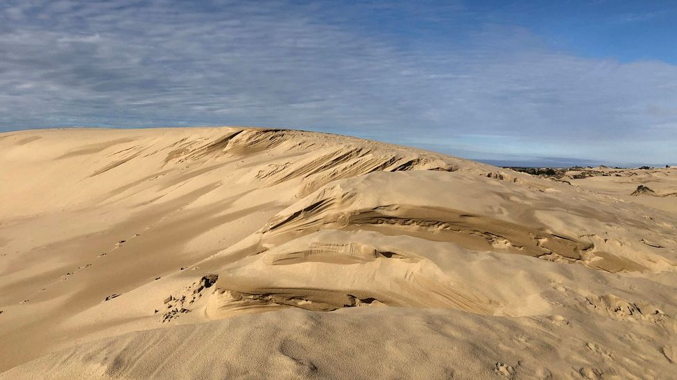 Dune The 'terraformed' Oregon dunes that inspired Frank Herbert's sci