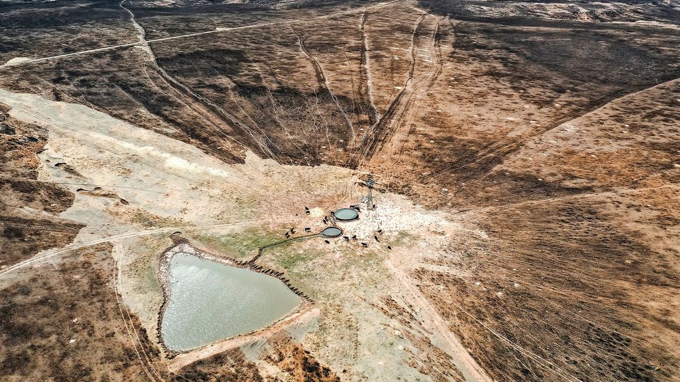 Aerial shot of scorched land from Smokehouse Creek Fire