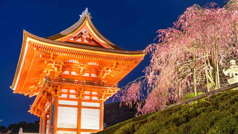 The best places to see cherry blossoms in Kyoto - BBC Travel