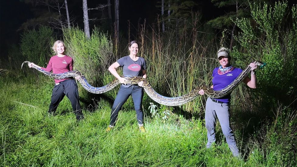 Amy Siewe (far right) hunts by night in the summer, and is hoping one day to catch a legendary 20-footer (Credit: Amy Siewe)
