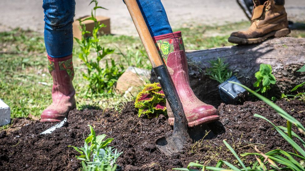 woman in boots digging (Credit: Getty Images)