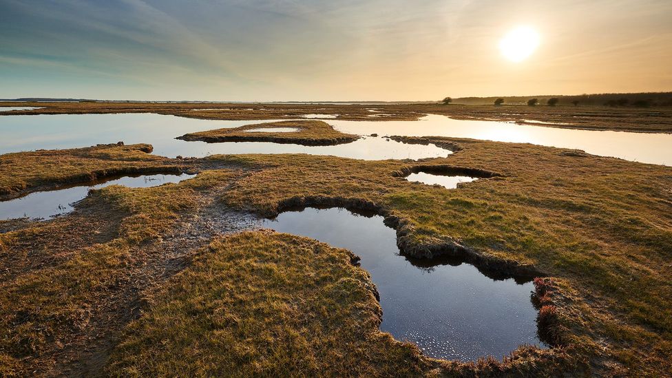 Visitors can explore the landscape of the South Fyn Archipelago by land or by sea (Credit: Mikkel Jezequel)