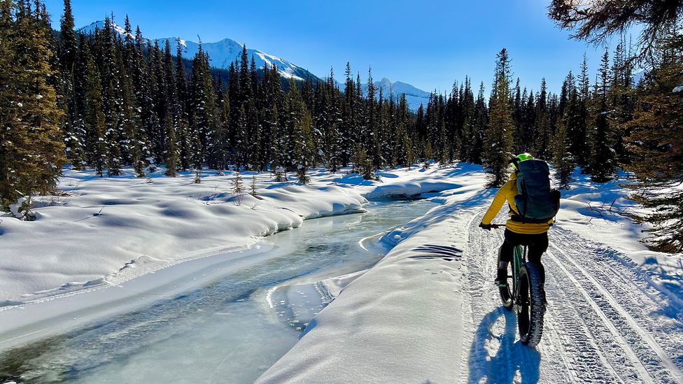 Shadow Lake Lodge Canada's remote bikein mountain stay BBC Travel