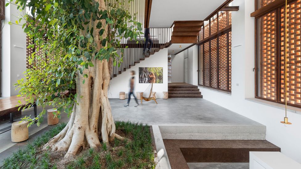 An ancient 10m-high ficus tree is at the core of a farmhouse conversion in Parma, Italy, which has a roof that can be opened to encourage the tree to thrive (Credit: CRA)