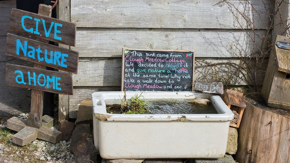 A mini pond made from an old sink (Credit: Heather Stuckey)