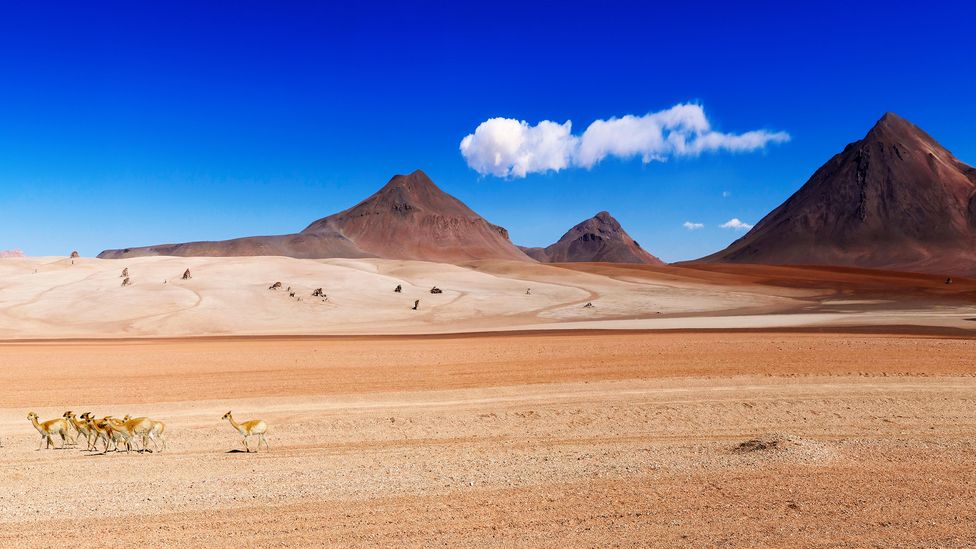 The route threads the surreal Salvador Dalí Desert (Credit: Alamy) The route threads the surreal Salvador Dalí Desert (Credit: Alamy)