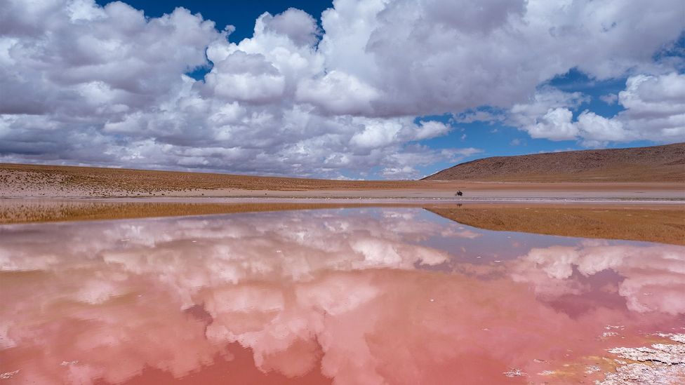 The area's salt flats are so vast they're visible from space (Credit: Michnus Olivier) The area's salt flats are so vast they're visible from space (Credit: Michnus Olivier)
