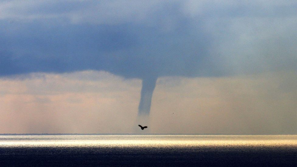 A blue column of air and mist over the sea, called a waterspout, with the silhouette of a bird (Credit: Getty Images)