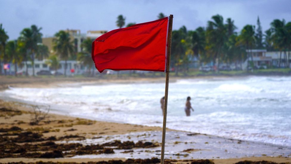 A red flag on a beach, photographed duirng stormy weather in Puerto Rico caused by Hurricane Ernesto (Credit: Getty Images)
