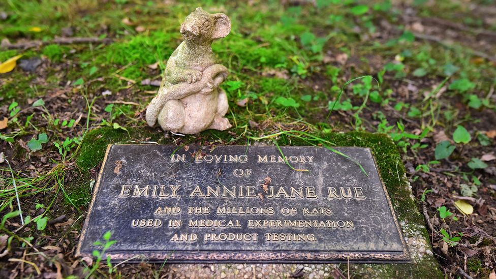 (p228) Aspin Hill's fur coats and laboratory rat graves have been ridiculed by critics, but animal rights activists have always praised them. (Photo by Paul Koudounaris)