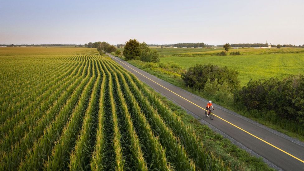 A biker on a road beside a field on the Véloroute Gourmande (Credit: Tourisme Montérégie)