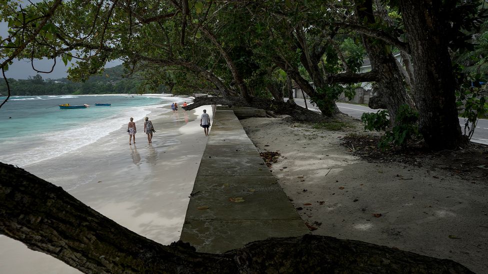 The Seychelles is constructing sea walls to protect its residents from climate impacts (Credit: Getty Images) The Seychelles is constructing sea walls to protect its residents from climate impacts (Credit: Getty Images)