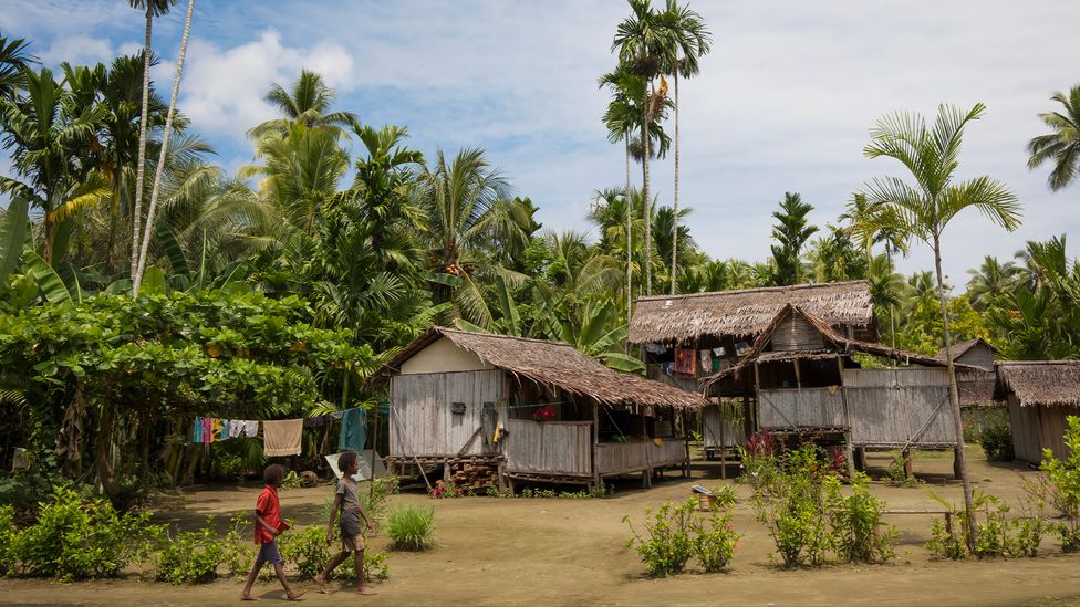 Papua New Guinea’s prime minister pulled out of COP29 over a "lack of support" for climate victims (Credit: Getty Images) Papua New Guinea’s prime minister pulled out of COP29 over a "lack of support" for climate victims (Credit: Getty Images)