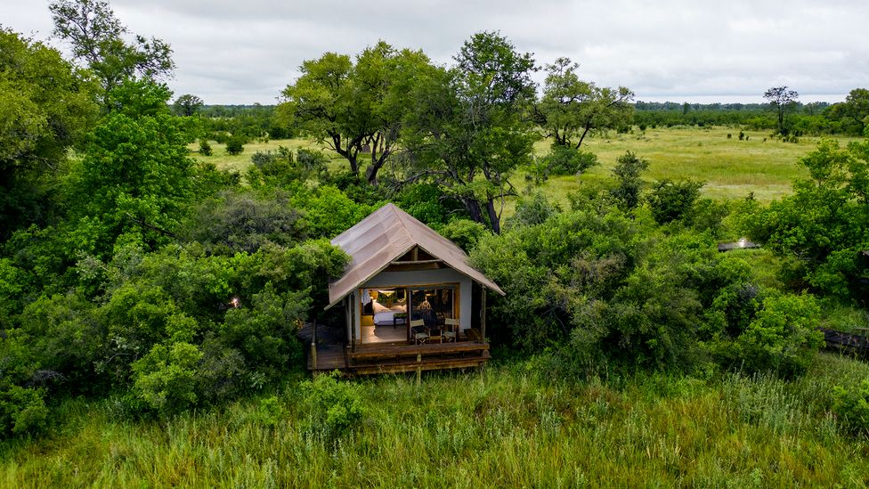 Botswana’s Okavango Delta is one of Africa’s premier luxury safari destinations (Credit: Getty Images)