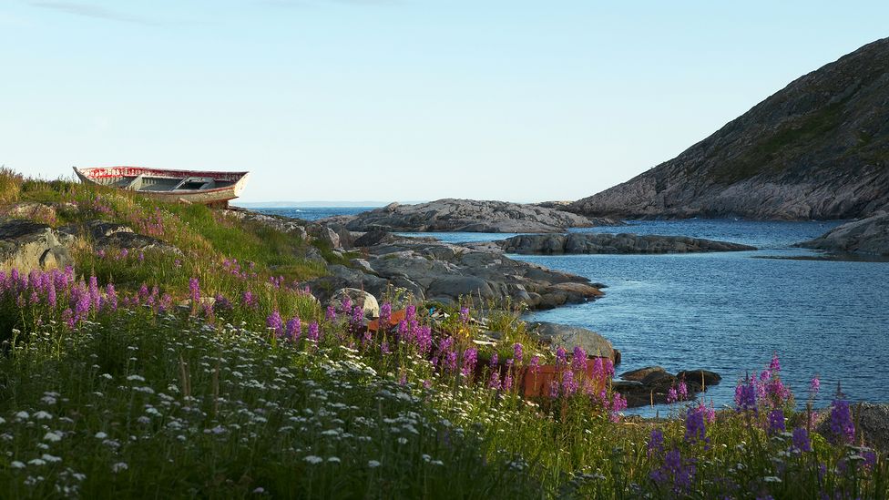 The Trans-Labrador Highway connects travellers to Labrador's windswept coastal villages (Credit: Getty Images)