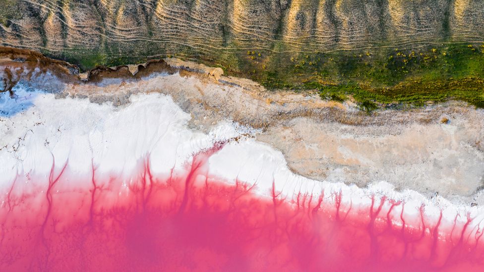 Western Australia encompasses 12,500km of pristine coastline and several bubblegum-pink lakes (Credit: Getty Images)