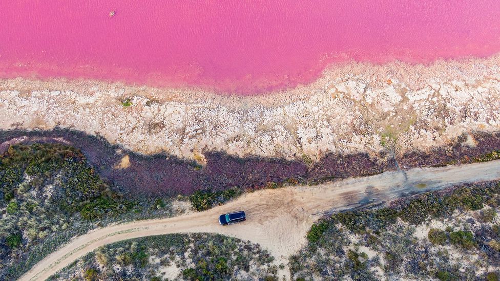 A car drives past a pink lake in Western Australia (Credit: Getty Images)