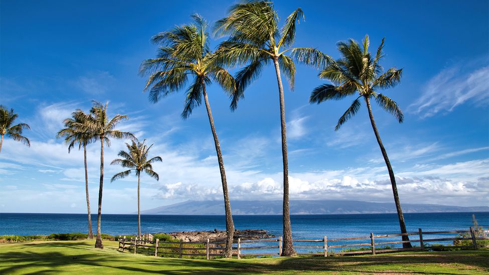 Carrere loves Napili Kai Beach Resort in Maui's Napili Bay for a no-frills holiday stay with lots of homespun character and vintage charm (Credit: Getty Images) Carrere loves Napili Kai Beach Resort in Maui's Napili Bay for a no-frills holiday stay with lots of homespun character and vintage charm (Credit: Getty Images)