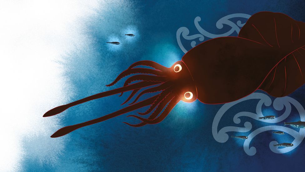 The book Whiti tells the story of a colossal squid that lives in the deep Southern Ocean (Credit: Isabel Joy Te Aho-White/ Te Papa) The book Whiti tells the story of a colossal squid that lives in the deep Southern Ocean (Credit: Isabel Joy Te Aho-White/ Te Papa)