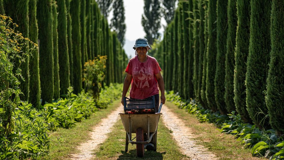 Uka Farm përdor receta nga gjyshe si Xhahysa (Credit: Uka Farm)
