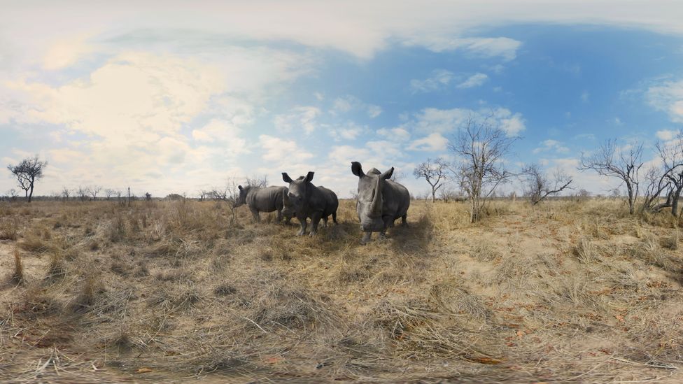 The feeling of awe induced by VR can make us more willing to sacrifice for the environment by creating a sense of vastness and interconnectedness (Credit: Habitat XR) The feeling of awe induced by VR can make us more willing to sacrifice for the environment by creating a sense of vastness and interconnectedness (Credit: Habitat XR)