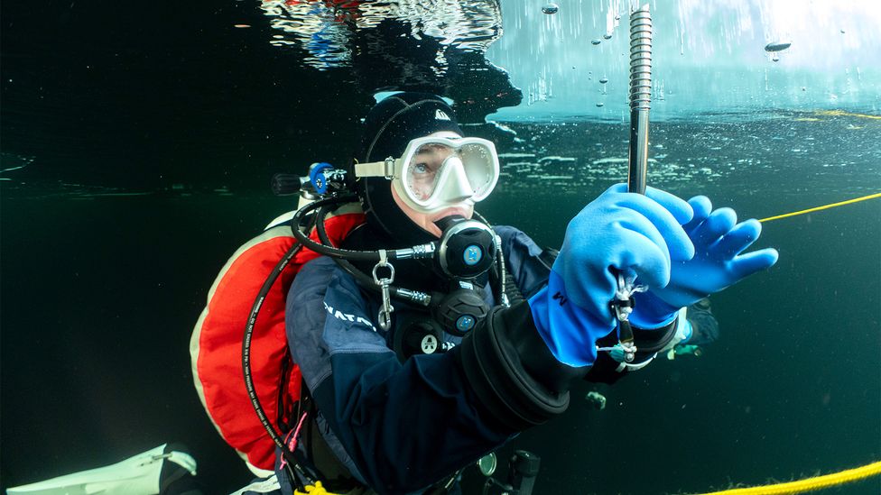 A diver starts to place an ice screw into the ice above them (Credit: Jesse Jokinen)