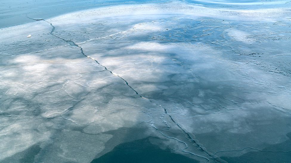 On average, Greenland loses 234 billion tonnes of ice per year (Credit: Alamy) On average, Greenland loses 234 billion tonnes of ice per year (Credit: Alamy)