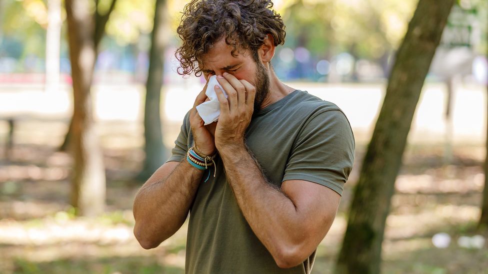 A man standing in a park with trees around him holds a tissue to his nose as he sneezes (Credit: Getty Images)