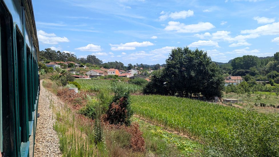 A train passes through forest and farmland in the Vouga Valley (Credit: Katie Wright)