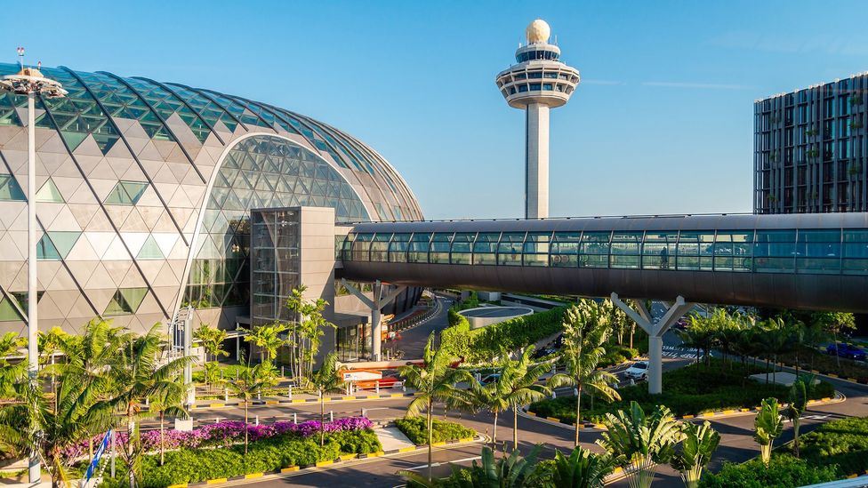Singapore Changi Airport's Jewel complex and control tower rise above landscaped gardens and an elevated walkway (Credit: Getty Images)