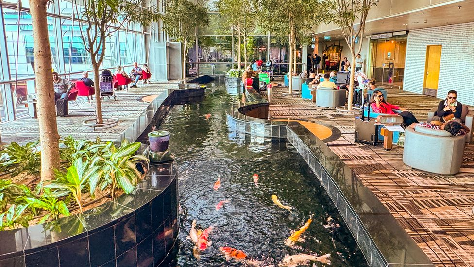 Changi Airport's terminals were designed with stress-reduction in mind (Credit: Getty Images)