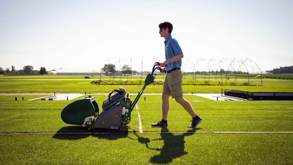 The researchers tested the exact length the grass should be mowed to in each stadium to ensure it allows the best possible play (Credit: Nick Schrader/Michigan State University)