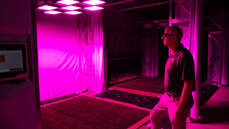 John Sorochan began working on the pitches for the World Cup 2026 after meeting Fifa officials in 2018 (Credit: University of Tennessee)