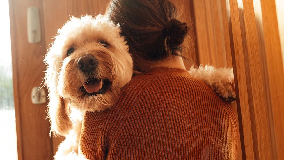 A woman, seen from behind, holds her dog in her arms by a front door (Credit: Getty Images)