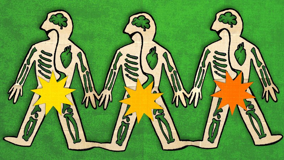 Cut-out collage of three beige skeletons with brains and hearts against a green background; orange and yellow stars covering their genitalia (Credit: Serenity Strull/ BBC)