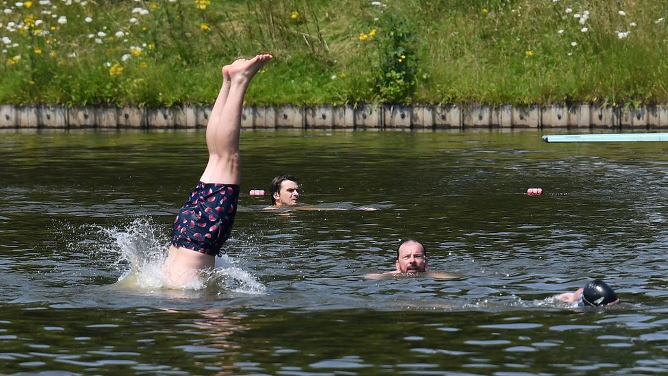 A man dives into a pond by a grassy bank while three others swim nearby (Credit: Getty Images)