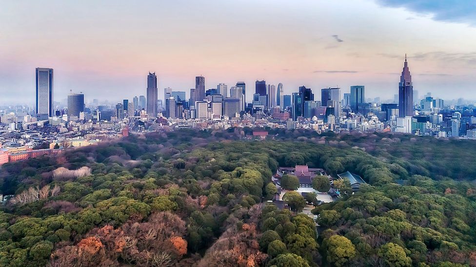 Aerial view of central Tokyo at dusk with skyline rising behind a large park (Credit: Getty Images)
