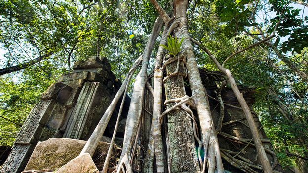 Cambodia’s hidden jungle temple