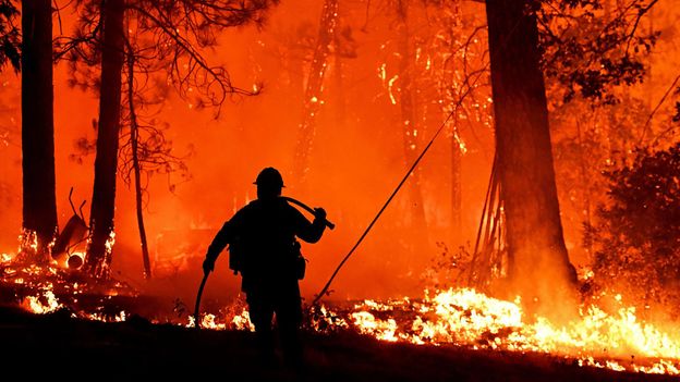 The quest to predict – and stop – the spread of wildfires - BBC Future