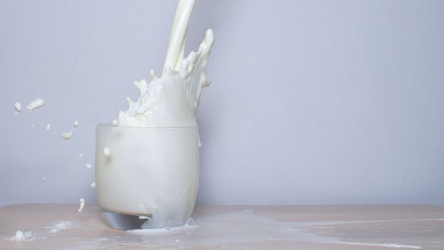 Should we drink milk to strengthen bones? - BBC Future