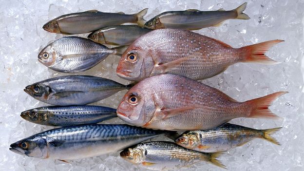 Is eating fish healthy? – BBC Future