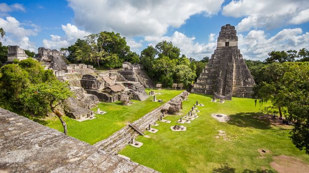 Le secret de la survie du génie Maya