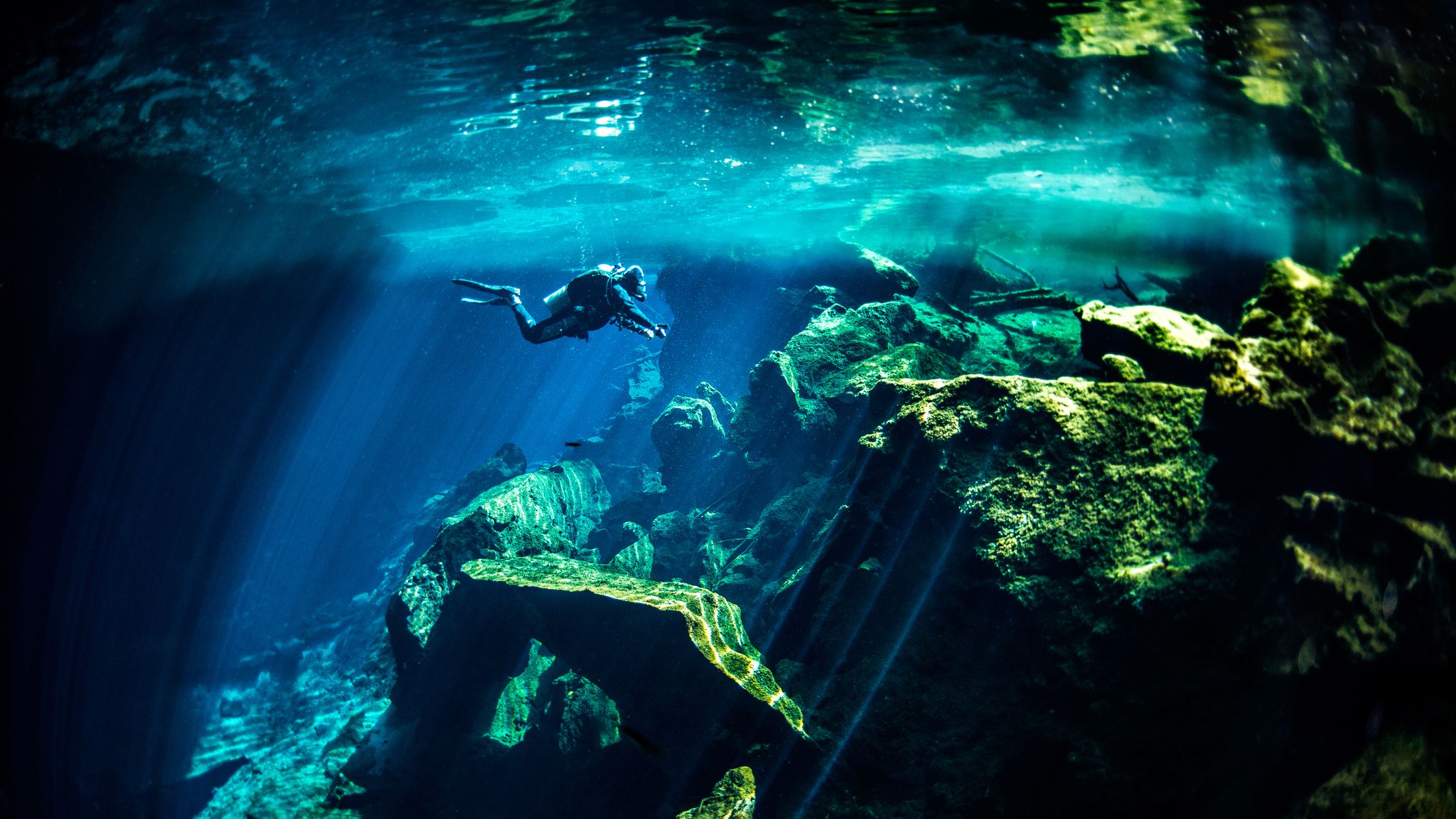 According to Scubanomics, there are around 6 million active scuba divers in the world (Credit: Extreme Photographer/Getty Images)