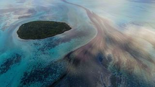 Should environmental disasters such as oil spills be considered a crime against nature? (Credit: Getty Images)